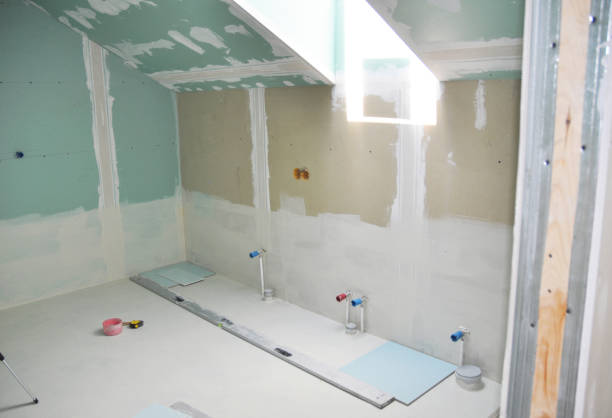 Best Environmental Consulting for Mold Prevention  in Springfield, CO