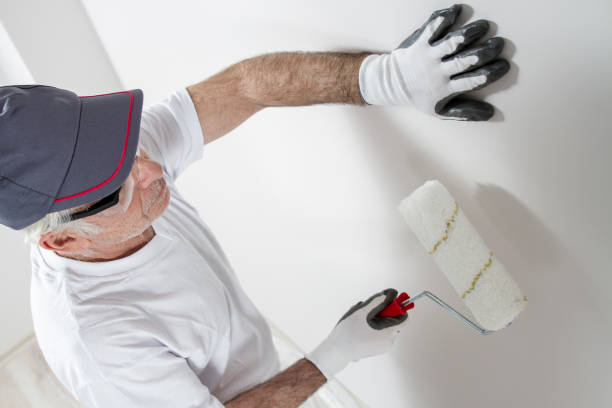 Best Biohazard Mold Removal  in Springfield, CO