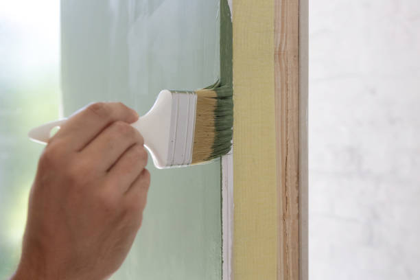 Best Mold Damage Restoration  in Springfield, CO