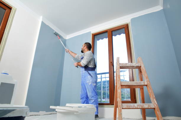 Best Commercial Mold Inspection  in Springfield, CO