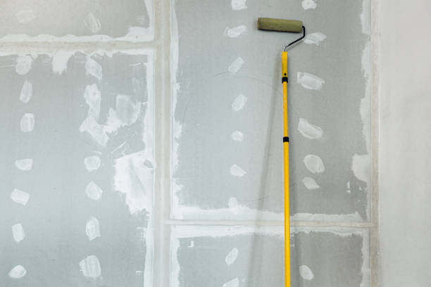 Best Dehumidification Services  in Springfield, CO