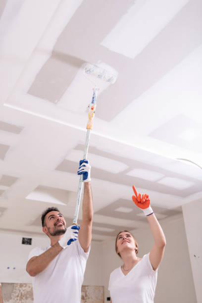 Best Commercial Mold Inspection  in Springfield, CO