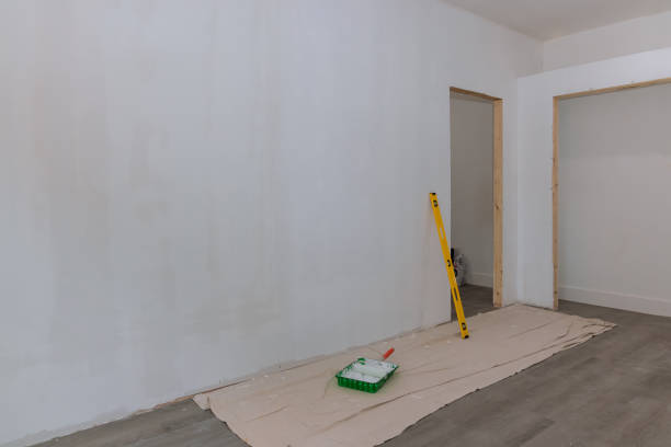 Best Real Estate Mold Inspection  in Springfield, CO