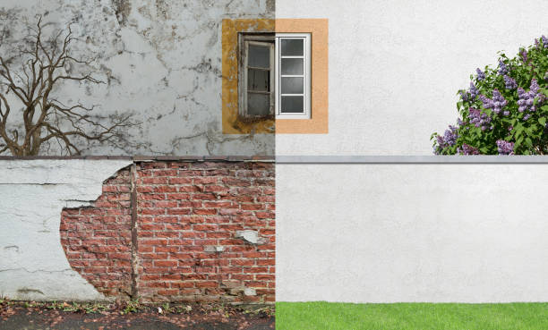  Springfield, CO Mold Removal Pros