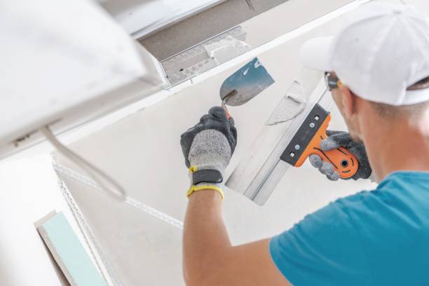 Best Water Damage & Mold Remediation  in Springfield, CO